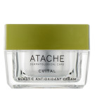 Blast C Antioxidant Cream - Крем с витамином С и феруловой кислотой